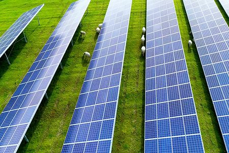 Photovoltaik-Freifläechenanlage auf einer Wiese mit grasenden Schafen